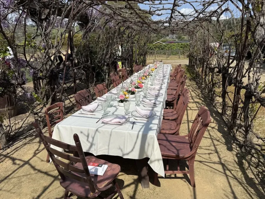 Vineyard long table lined with bud vase arrangements between simple settings and vine rows — centerpiece design for Clayton catering and Concord winery weddings